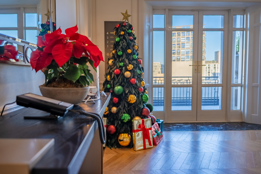 christmas (9)